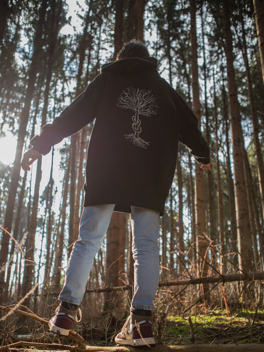 Albero